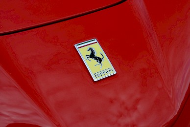 Steinschlagschutz Laferrari