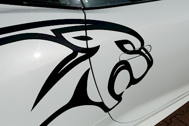 Jaguar F Type Beschriftung Mit Katze