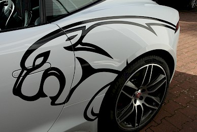 Jaguar F Type Beschriftung Mit Katze