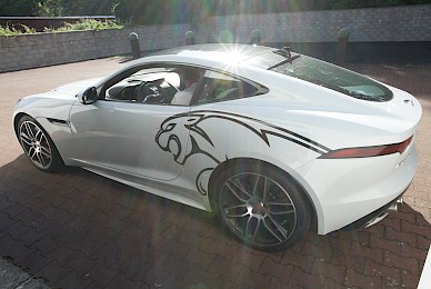 Jaguar F Type Beschriftung Mit Katze
